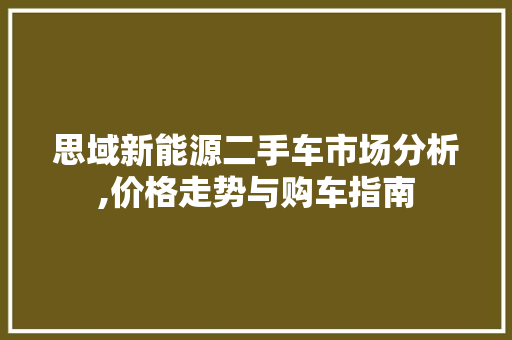 思域新能源二手车市场分析,价格走势与购车指南