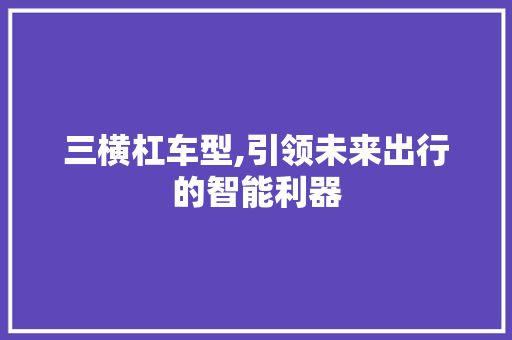 三横杠车型,引领未来出行的智能利器