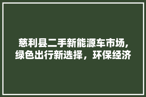 慈利县二手新能源车市场,绿色出行新选择，环保经济两不误