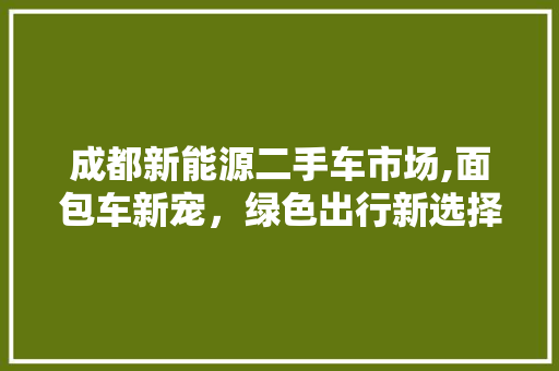 成都新能源二手车市场,面包车新宠，绿色出行新选择