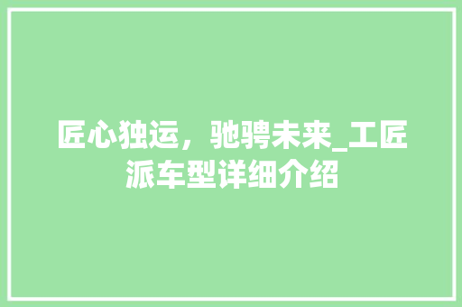 匠心独运，驰骋未来_工匠派车型详细介绍