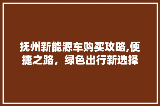 抚州新能源车购买攻略,便捷之路，绿色出行新选择