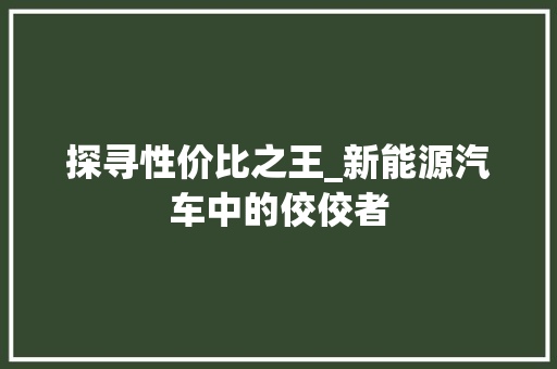 探寻性价比之王_新能源汽车中的佼佼者
