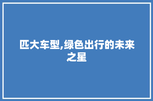 匹大车型,绿色出行的未来之星