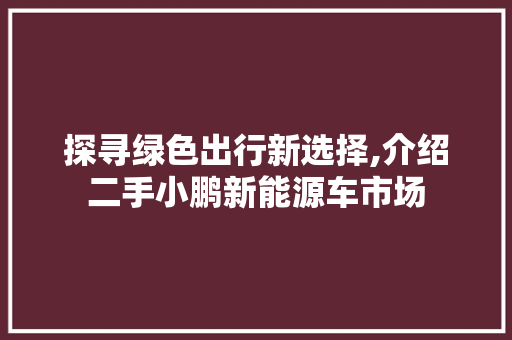 探寻绿色出行新选择,介绍二手小鹏新能源车市场