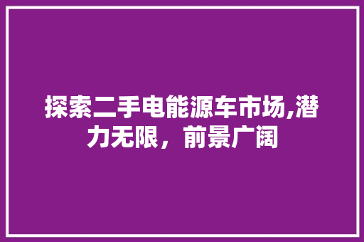 探索二手电能源车市场,潜力无限，前景广阔 蓄电池配件