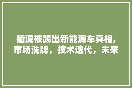 插混被踢出新能源车真相,市场洗牌，技术迭代，未来何去何从