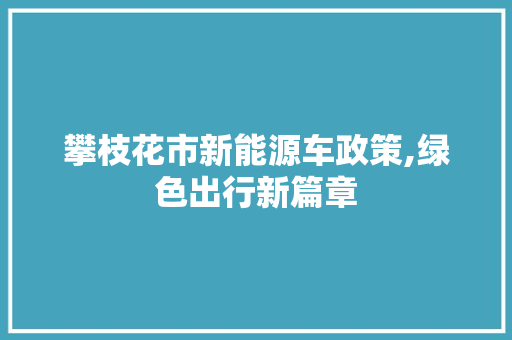 攀枝花市新能源车政策,绿色出行新篇章