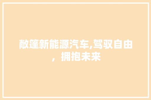 敞篷新能源汽车,驾驭自由，拥抱未来