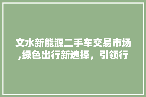文水新能源二手车交易市场,绿色出行新选择，引领行业新风尚