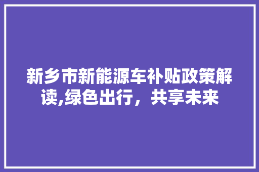 新乡市新能源车补贴政策解读,绿色出行，共享未来