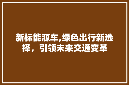 新标能源车,绿色出行新选择，引领未来交通变革