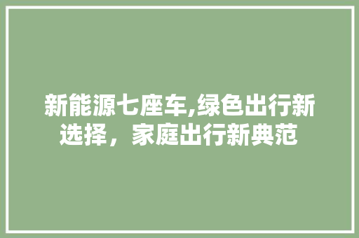 新能源七座车,绿色出行新选择，家庭出行新典范