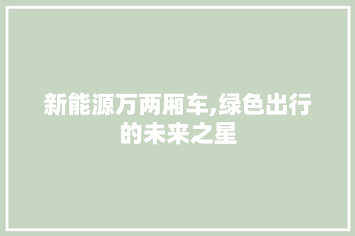 新能源万两厢车,绿色出行的未来之星
