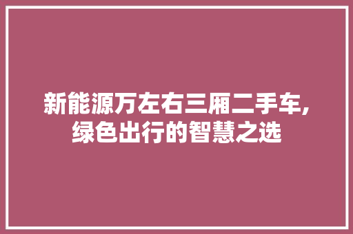 新能源万左右三厢二手车,绿色出行的智慧之选