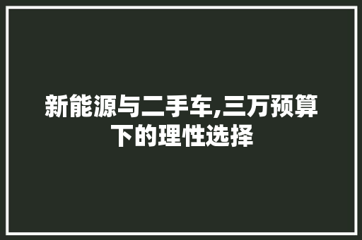 新能源与二手车,三万预算下的理性选择 车灯配件
