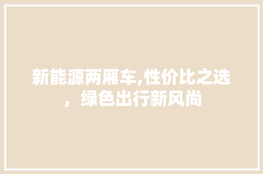 新能源两厢车,性价比之选，绿色出行新风尚