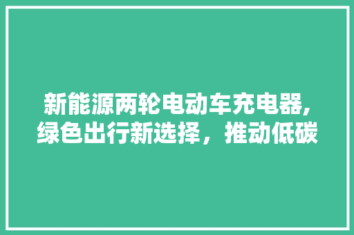 新能源两轮电动车充电器,绿色出行新选择，推动低碳生活