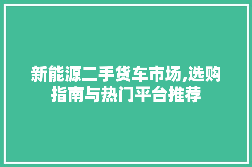 新能源二手货车市场,选购指南与热门平台推荐 车灯配件