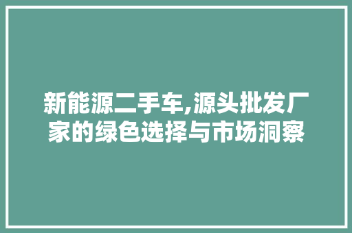 新能源二手车,源头批发厂家的绿色选择与市场洞察 车身配件