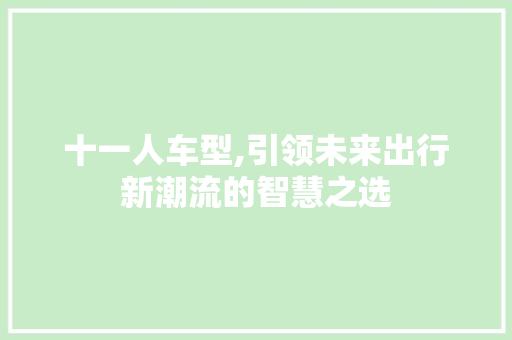 十一人车型,引领未来出行新潮流的智慧之选