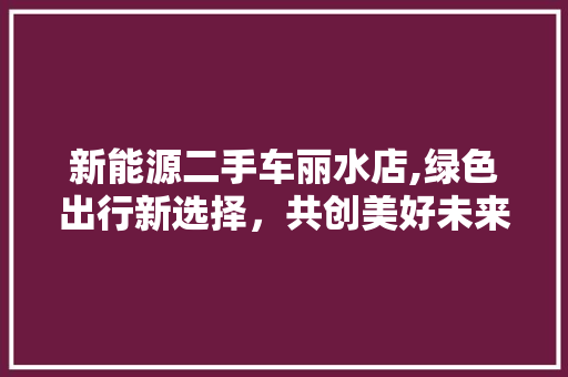 新能源二手车丽水店,绿色出行新选择，共创美好未来