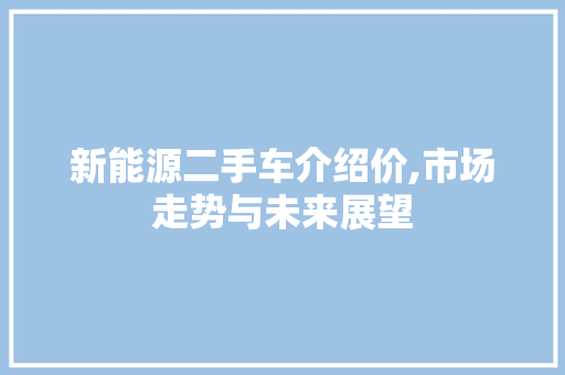 新能源二手车介绍价,市场走势与未来展望