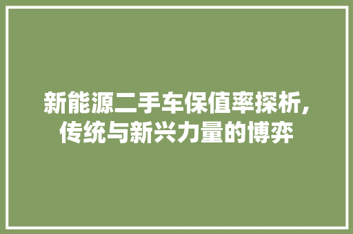 新能源二手车保值率探析,传统与新兴力量的博弈