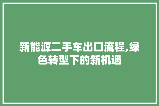 新能源二手车出口流程,绿色转型下的新机遇