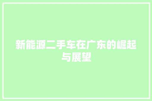 新能源二手车在广东的崛起与展望