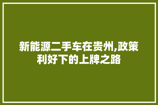 新能源二手车在贵州,政策利好下的上牌之路