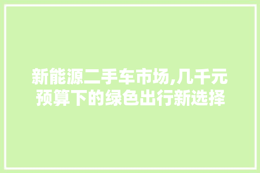 新能源二手车市场,几千元预算下的绿色出行新选择