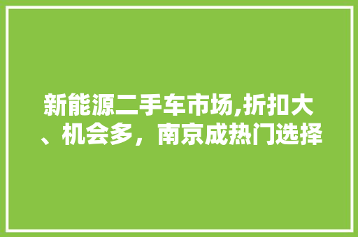 新能源二手车市场,折扣大、机会多，南京成热门选择地