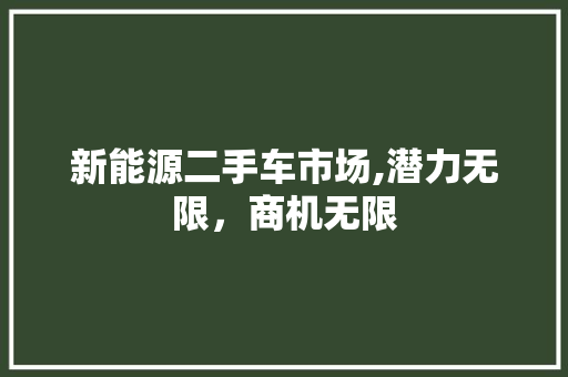 新能源二手车市场,潜力无限，商机无限