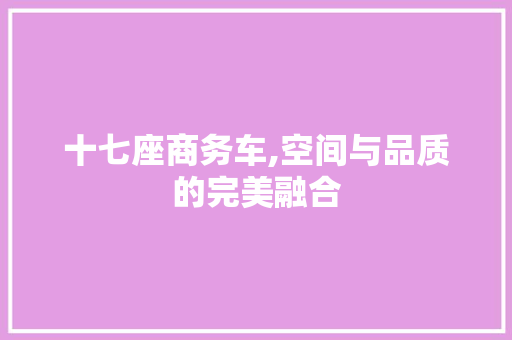 十七座商务车,空间与品质的完美融合