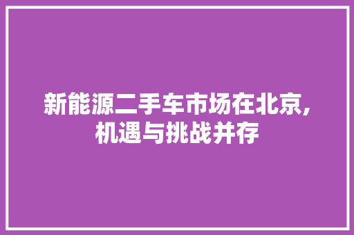 新能源二手车市场在北京,机遇与挑战并存