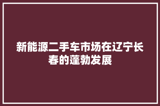 新能源二手车市场在辽宁长春的蓬勃发展