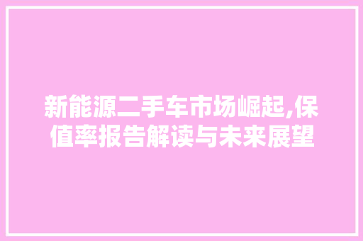 新能源二手车市场崛起,保值率报告解读与未来展望