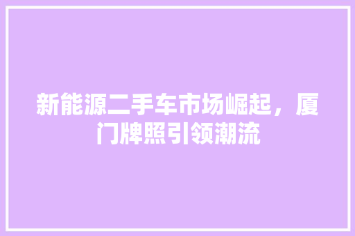 新能源二手车市场崛起，厦门牌照引领潮流