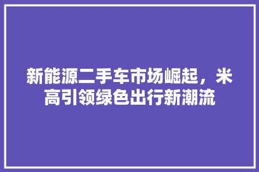 新能源二手车市场崛起，米高引领绿色出行新潮流