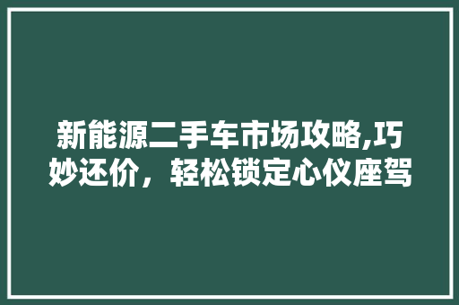 新能源二手车市场攻略,巧妙还价，轻松锁定心仪座驾