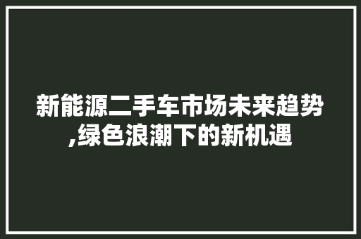 新能源二手车市场未来趋势,绿色浪潮下的新机遇