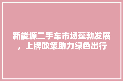 新能源二手车市场蓬勃发展，上牌政策助力绿色出行