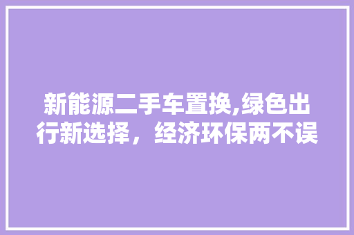 新能源二手车置换,绿色出行新选择，经济环保两不误