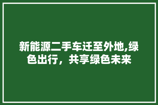 新能源二手车迁至外地,绿色出行，共享绿色未来