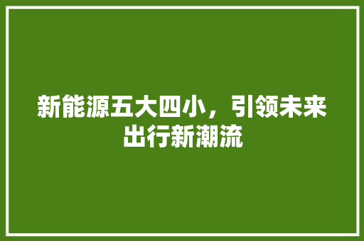 新能源五大四小，引领未来出行新潮流