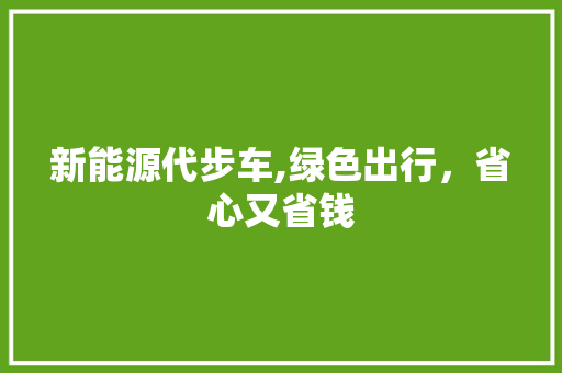 新能源代步车,绿色出行，省心又省钱