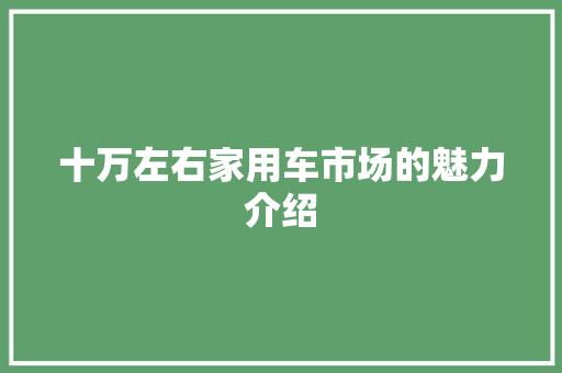 十万左右家用车市场的魅力介绍