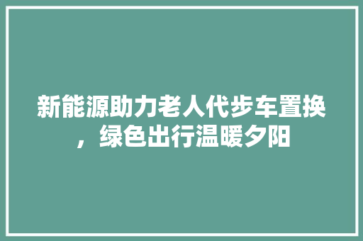 新能源助力老人代步车置换，绿色出行温暖夕阳