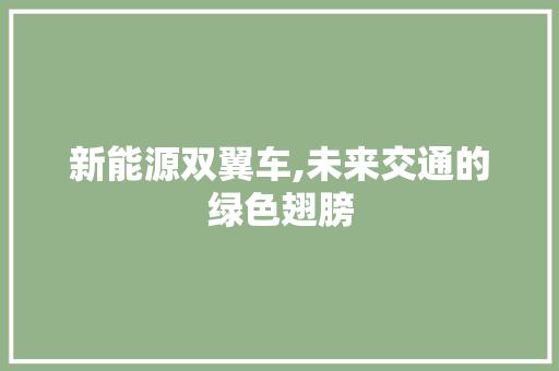 新能源双翼车,未来交通的绿色翅膀